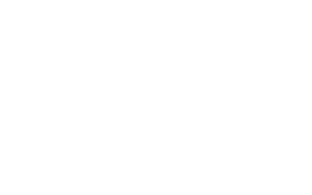 the Opera Edition Logo